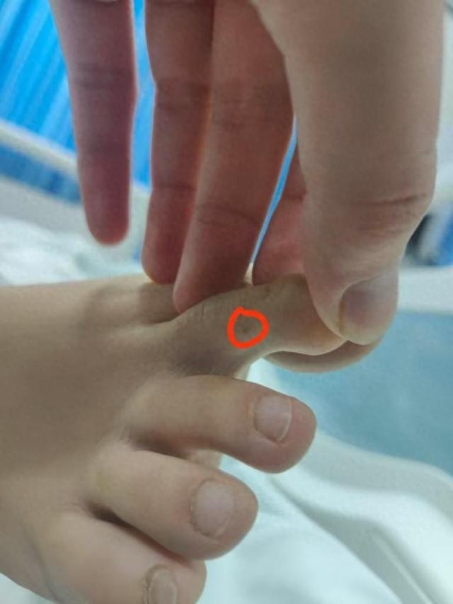 直播回应质疑：没提任何索赔只希望调查清楚pg电子免费试玩模拟器三亚身亡女游客堂姐(图2)