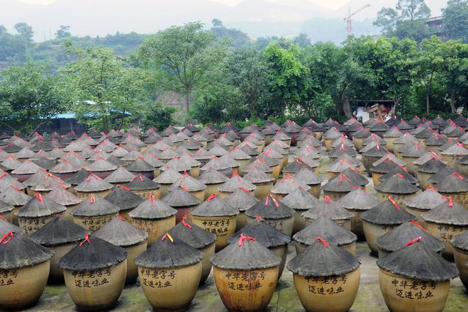 百年匠心酿岁月 薪火相传谱新篇pg电子模拟器免费版江津酿造：(图8)