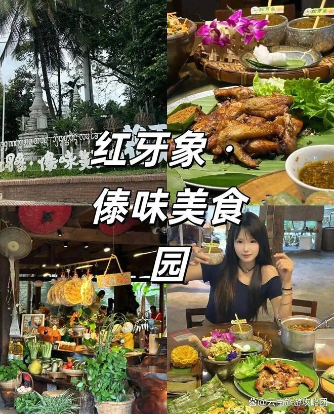 时间西双版纳必去旅游景点打卡记得关注pg模拟器电脑版去西双版纳旅游的最佳(图6)