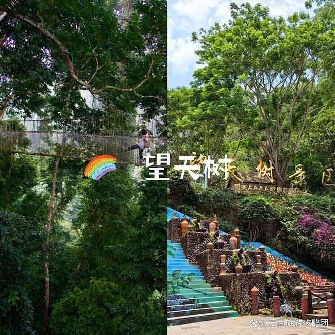 时间西双版纳必去旅游景点打卡记得关注pg模拟器电脑版去西双版纳旅游的最佳(图9)