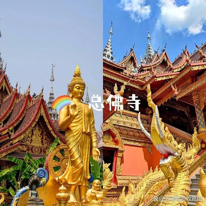 时间西双版纳必去旅游景点打卡记得关注pg模拟器电脑版去西双版纳旅游的最佳(图11)