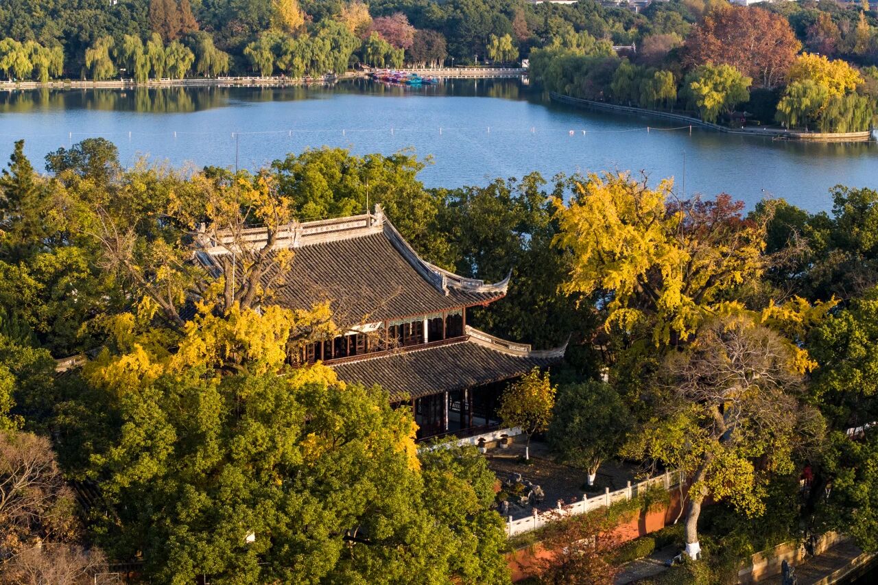 江丨一只嘉兴粽裹住千年江南味pg电子首页